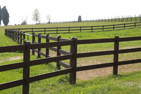 Realizzazione dei Nostri Lavori